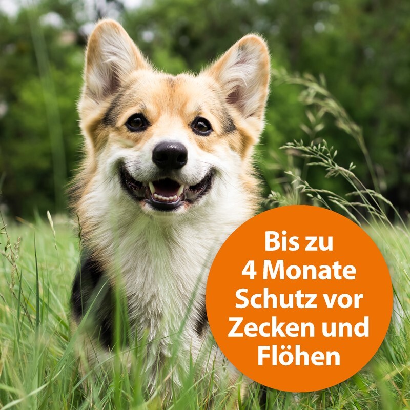 Ardap Floh- & Zeckenmittel Ardap Zecken- & Floh-Halsband für Hunde M