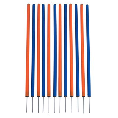 Agility Fun & Sport Slalom-Set