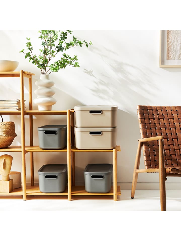 Rotho Albula Light 2er-Set Aufbewahrungskiste 20l in Cappuccino günstig kaufen onesize