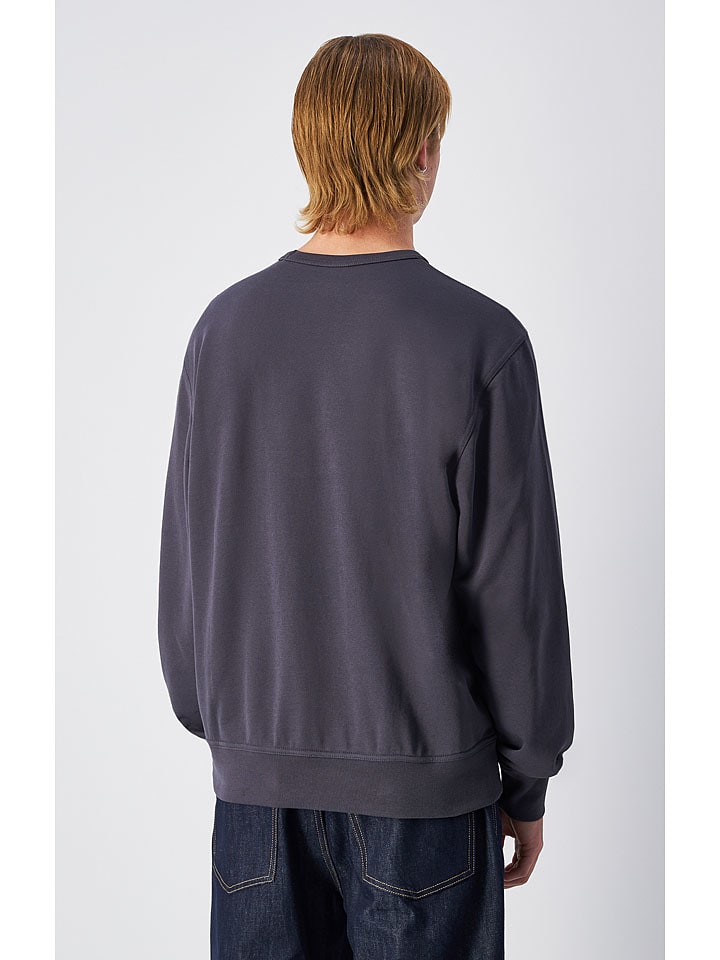 Champion Sweatshirt in Anthrazit günstig kaufen