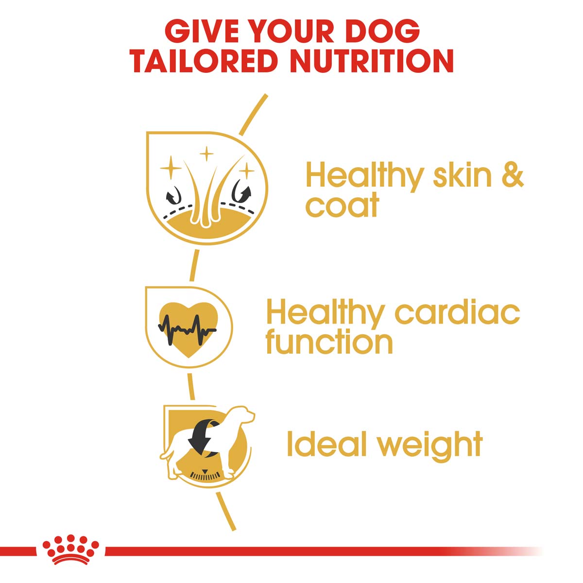 ROYAL CANIN Golden Retriever Adult Hundefutter trocken