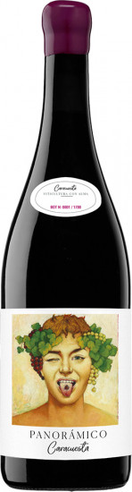 2018 Panorámico Caracuesta Rioja DOCa trocken - Vinos del Panorámico