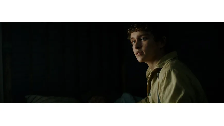 Old Henry