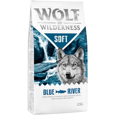 Wolf of Wilderness 