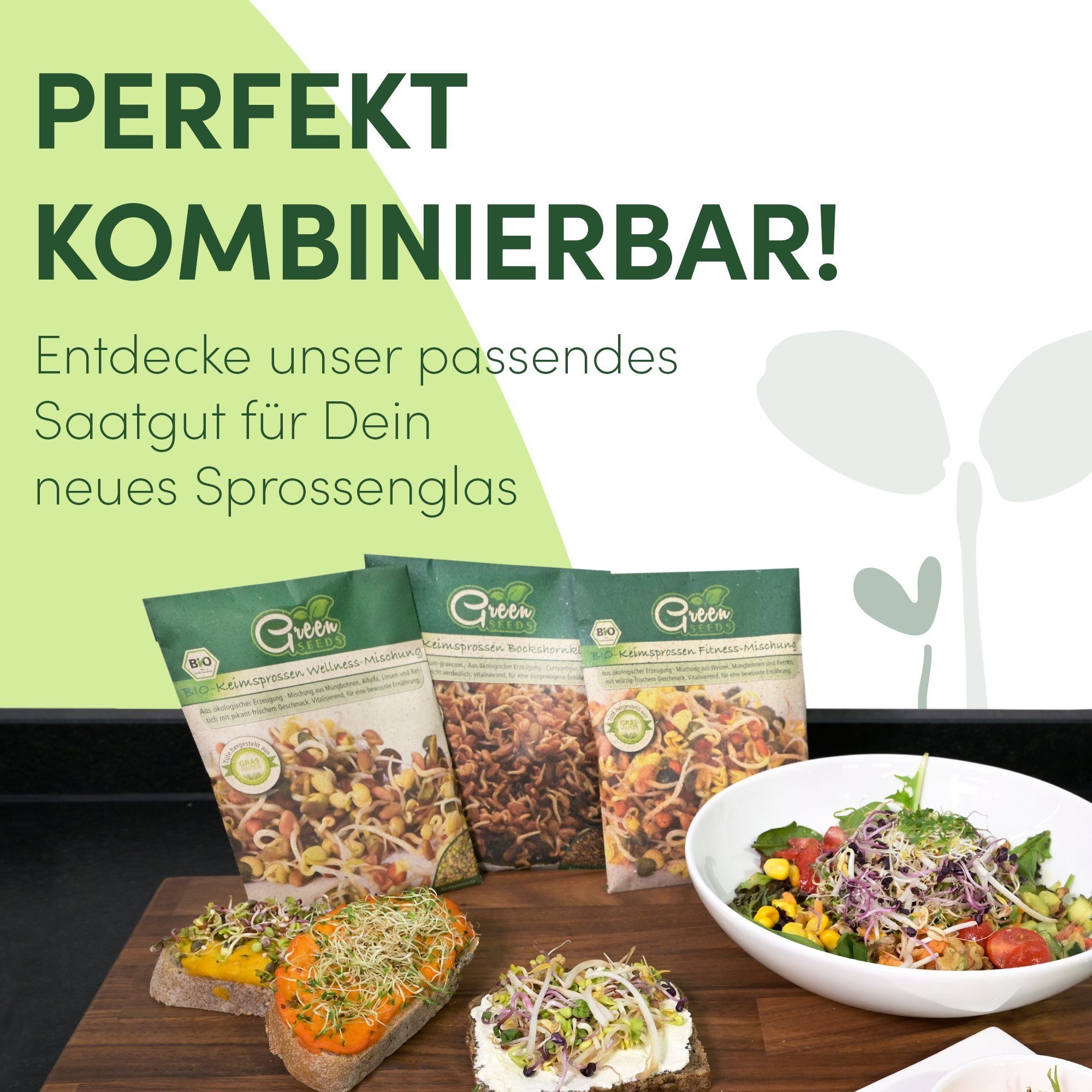 Green SEEDS Anzuchttopf Sprossenglas Keimglas 2er Set 1000ml + KRESSESIEB mit hochwertigem Edelstahl-Gitterdeckel, Ständer, Keramikschale + GRATIS Sprossen-ABC [Druckversion]…