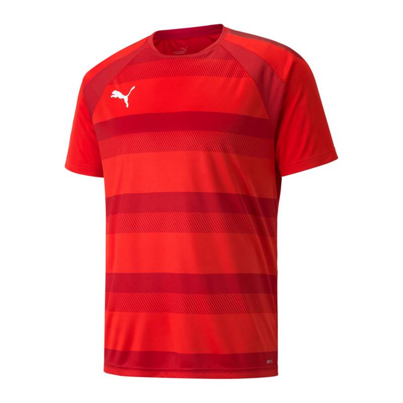 PUMA teamVISION Trikot Trikot Herren