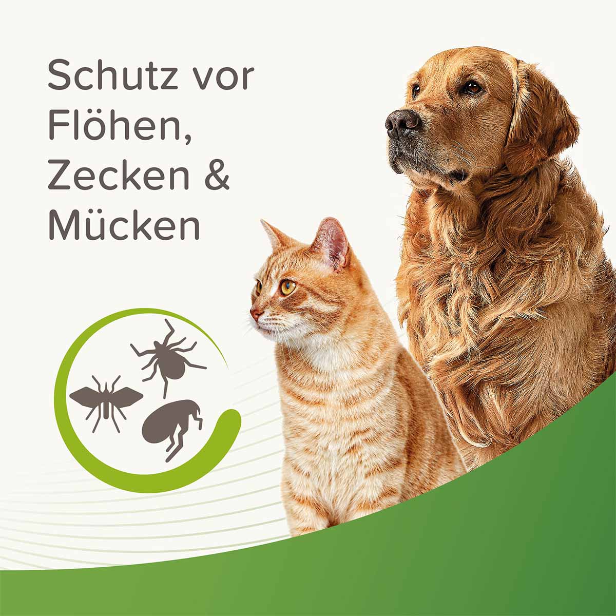 Beaphar Zecken- und Flohschutz Spray 3x400ml kaufen bei ZooRoyal