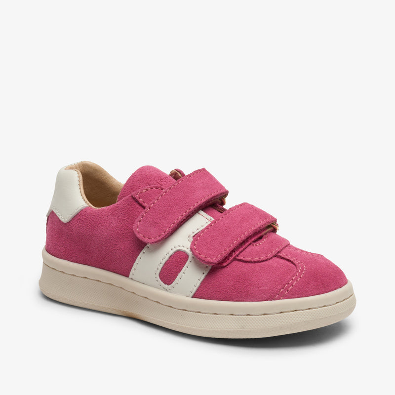 bay v fuxia - Rosa