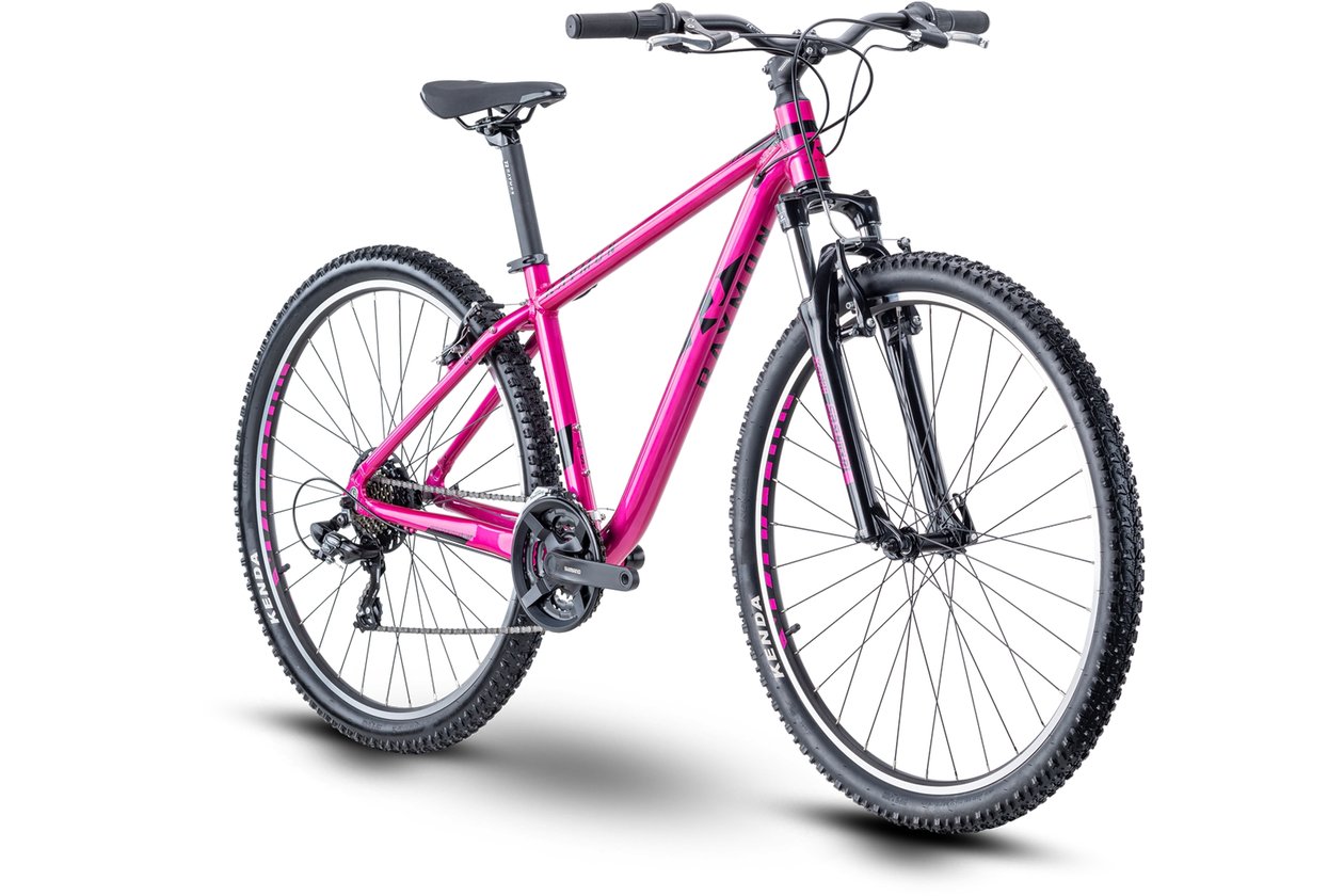Raymon NineRay 1.0 - 2023 - 29 Zoll - Diamant