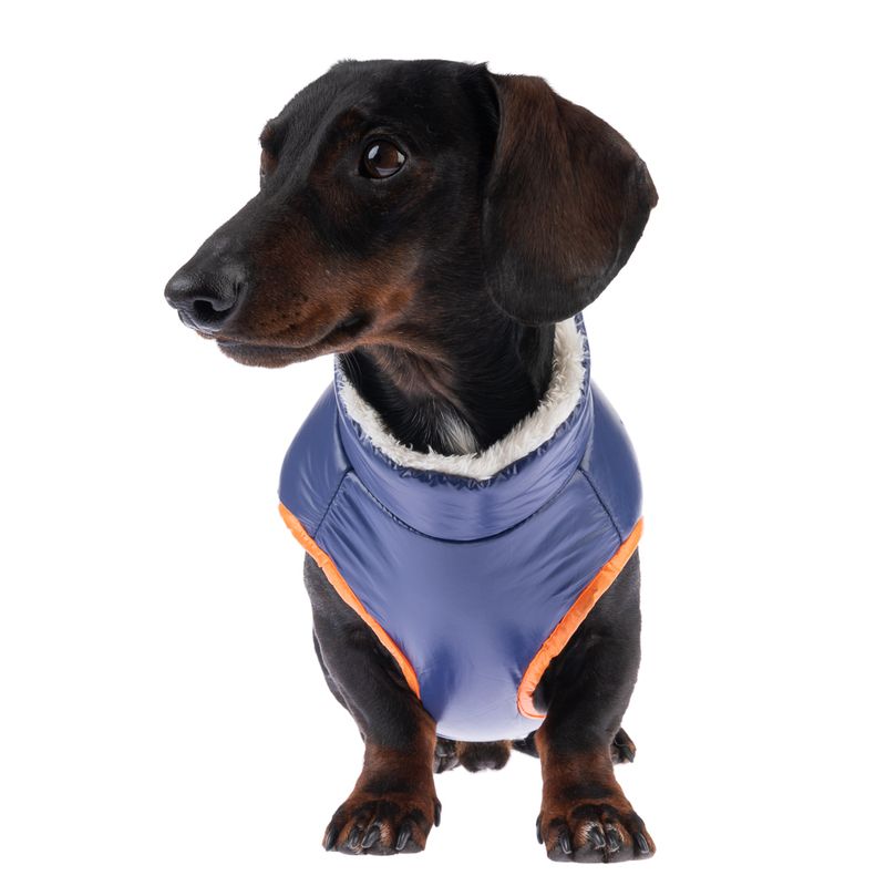TIAKI Hundejacke Stripes zu TOP-Preisen