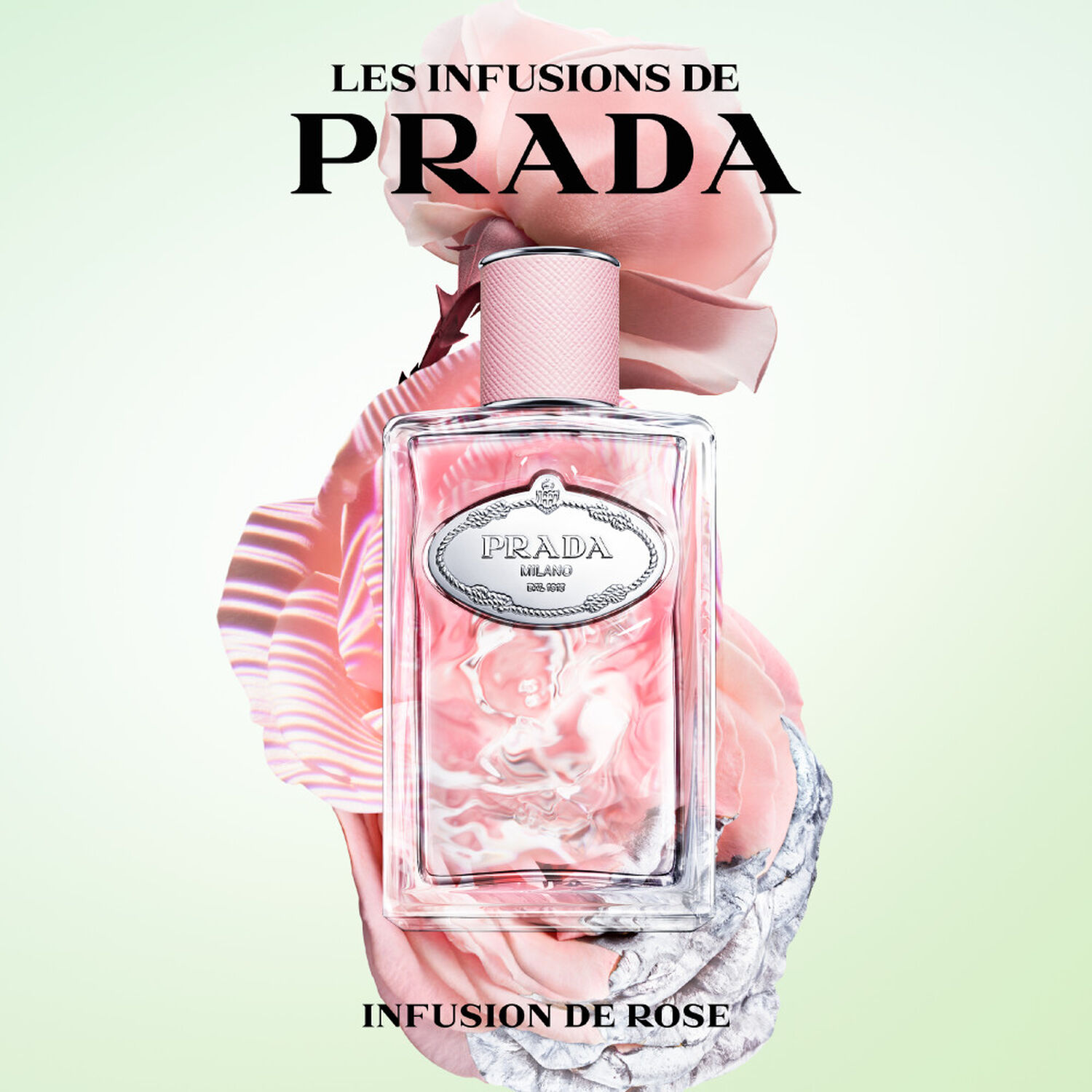 Prada Infusion de Rose Eau de Parfum 100 ml