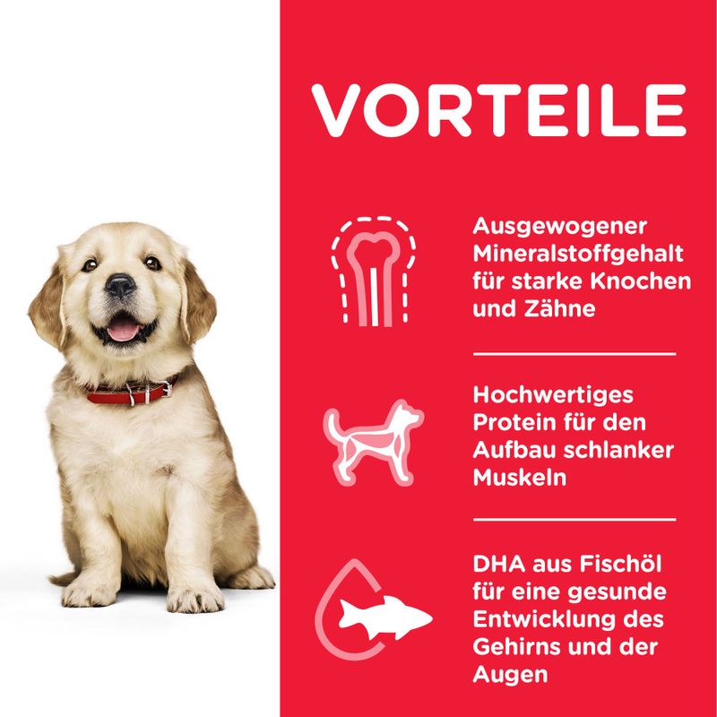 Hill's Science Plan Puppy <1 Large mit Huhn
