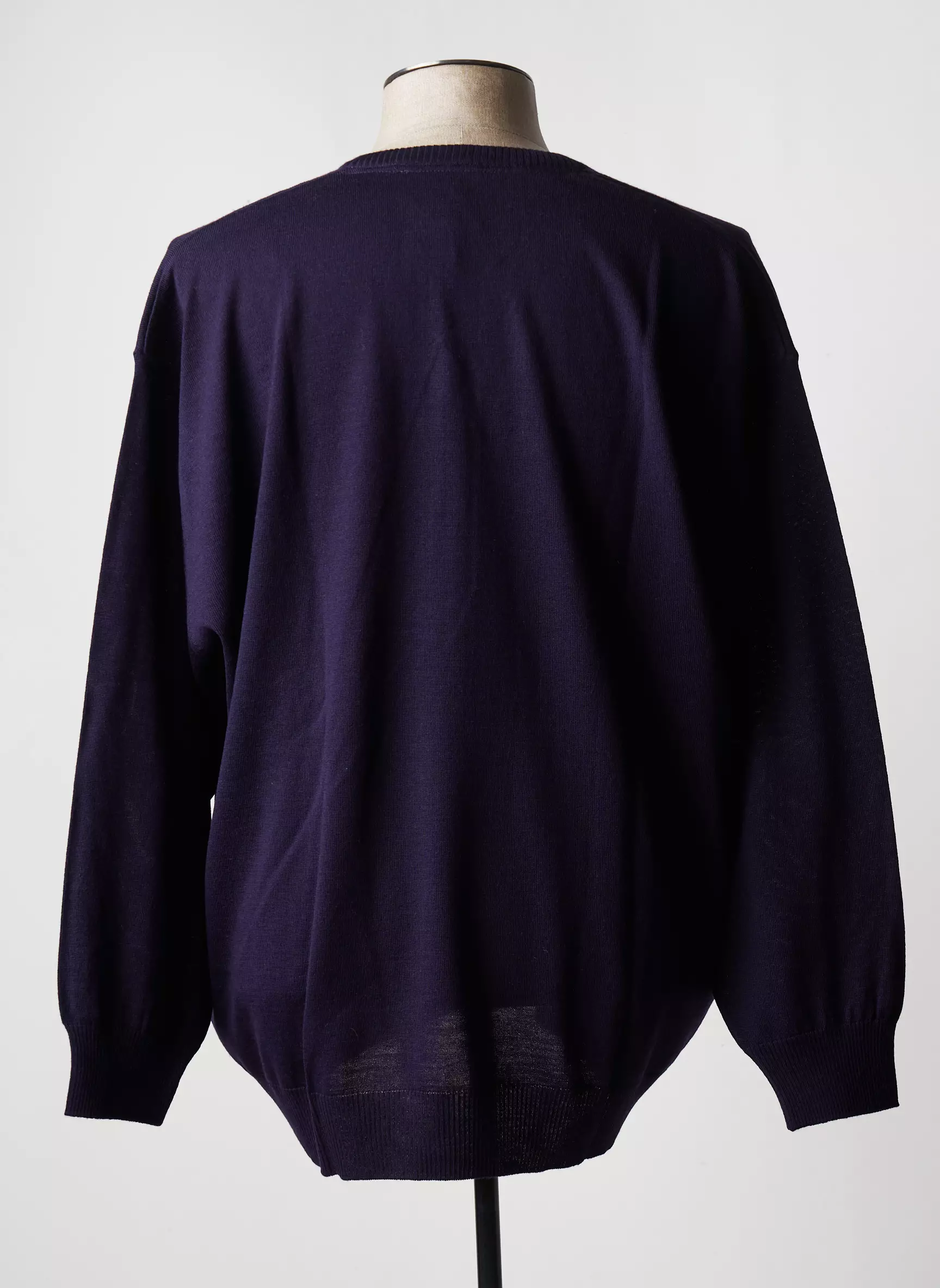 Maxfort Pulls Homme couleur violet
