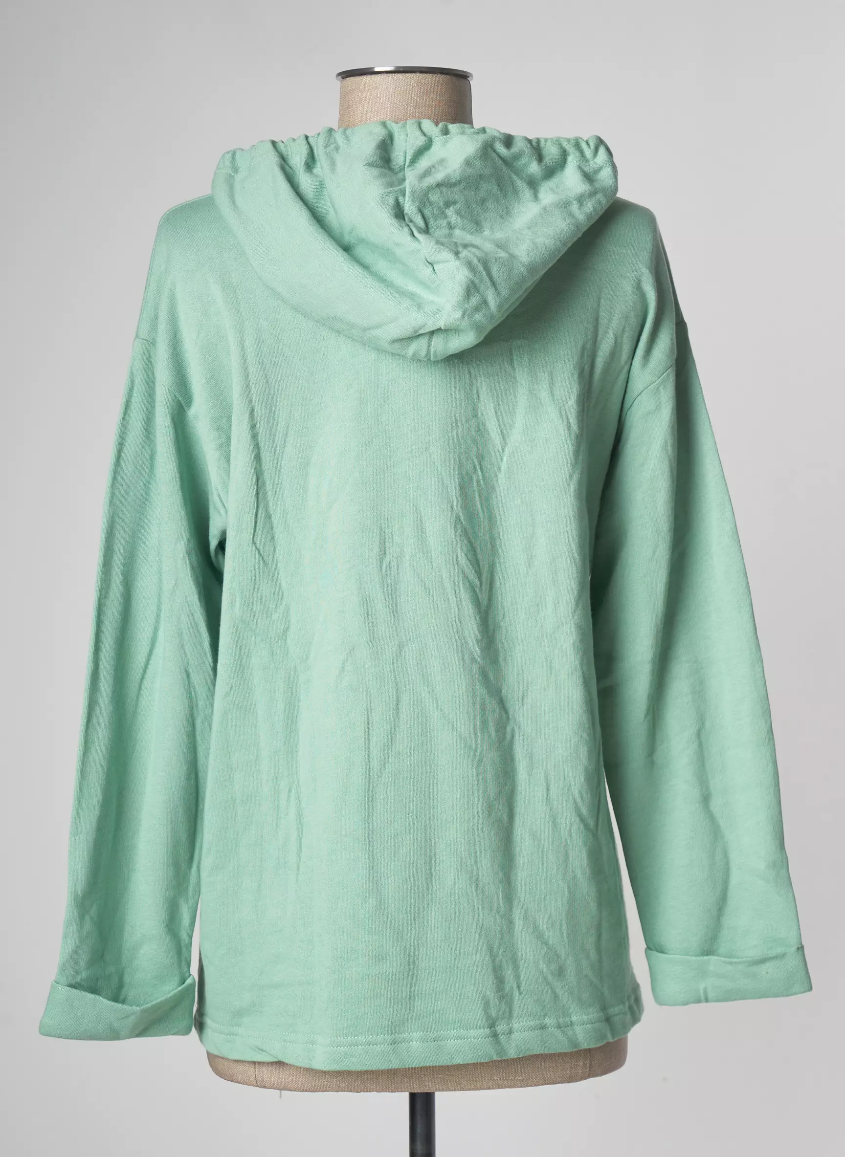 Lazy   Cosy Sweat Capuche Femme couleur vert