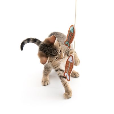 TIAKI Katzenangel Fisch mit Katzenminze