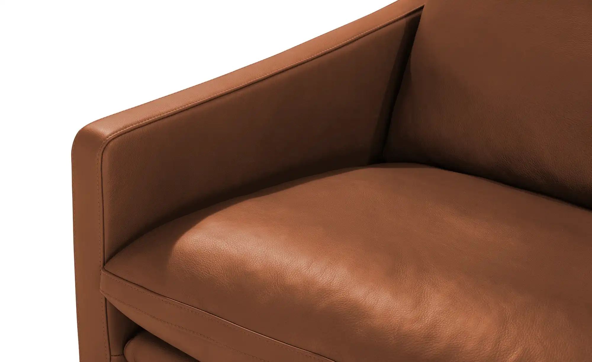 erpo just relax Ledersofa JR 290 Trento