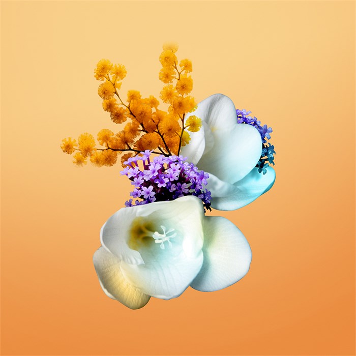 Eau de Parfum Spray