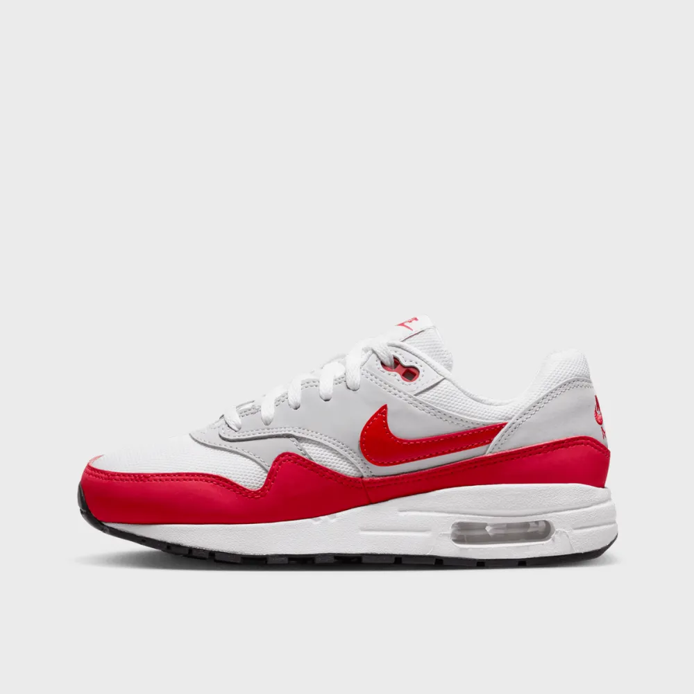 Nike Air Max 1 GS DZ3307-003 / grau