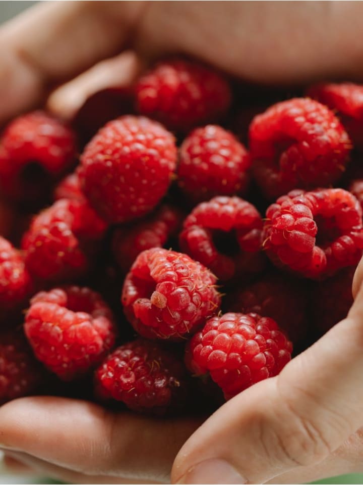 OH2 6er-Set Beeren in Bunt günstig kaufen onesize