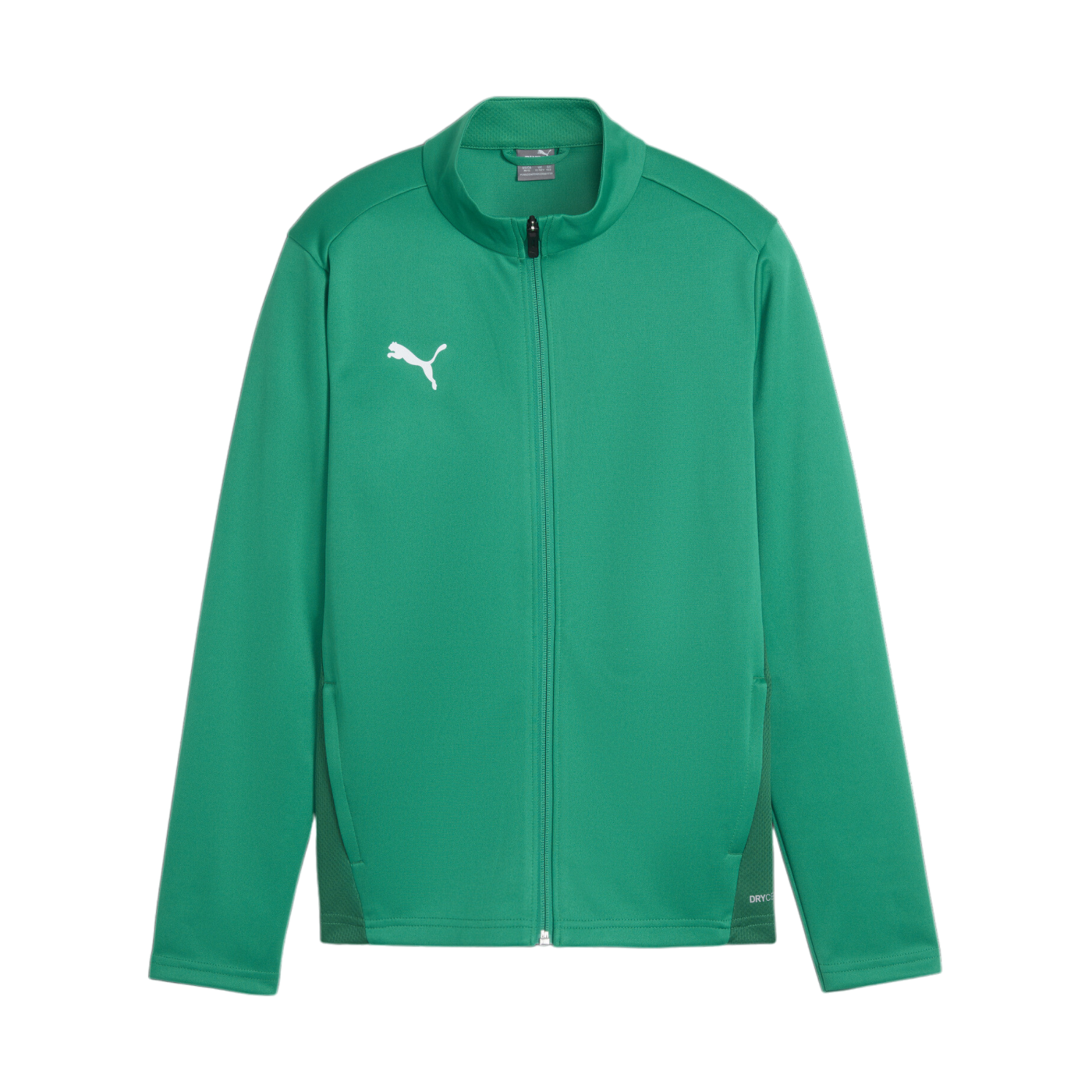 PUMA teamGOAL Trainingsjacke Kids Grün F05
