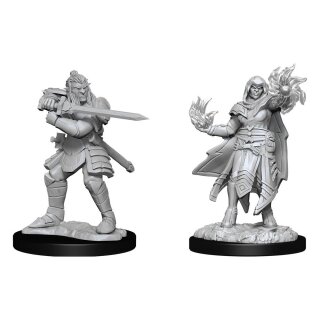 D&D Nolzur's Marvelous Miniatures: Hobgoblin Fighter Male & Hobgoblin Wizard Female (2)