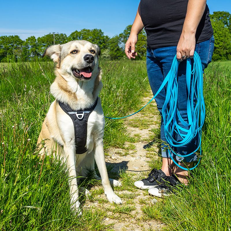 Pawz & Pepper Schleppleine Strong - blau zu TOP-Preisen