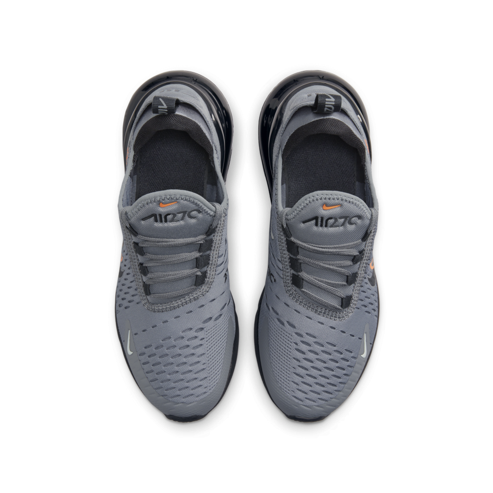 Nike Air Max 270 FN7786-001 / grau