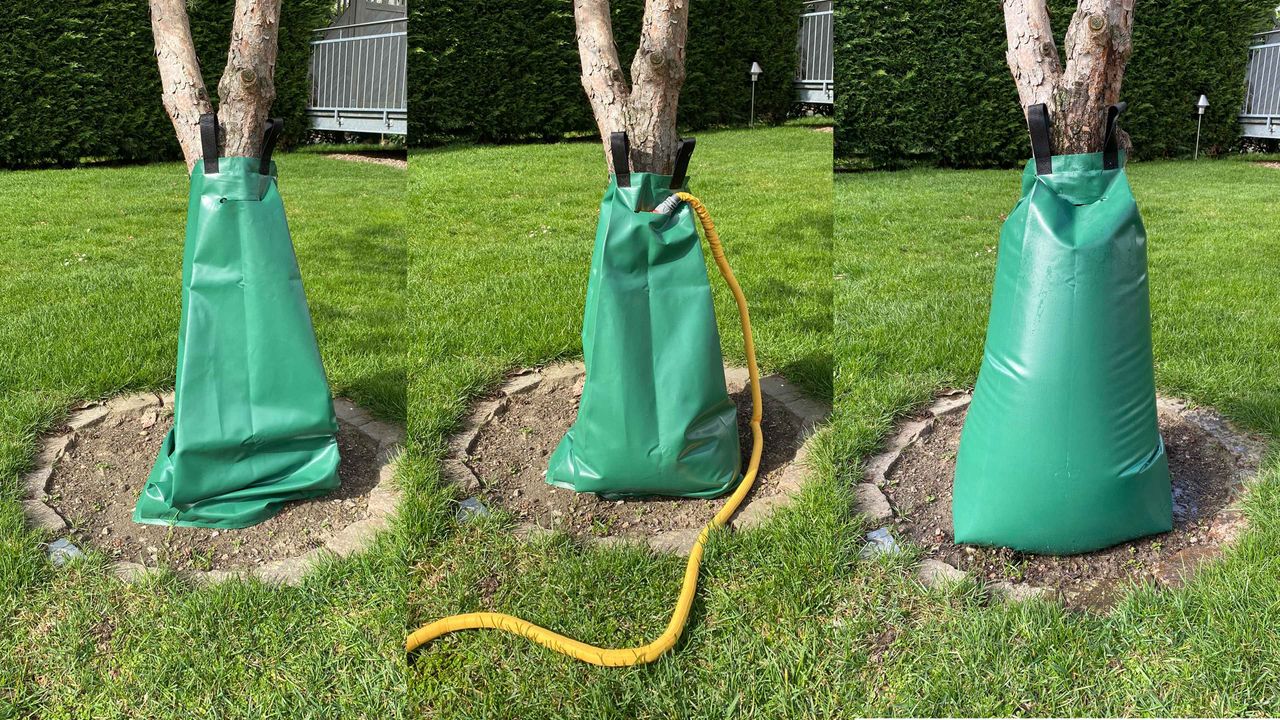 Grasekamp Bewässerungsbeutel für Bäume - 60 Liter - Wasserbeutel Bewässerungssystem Wassersack