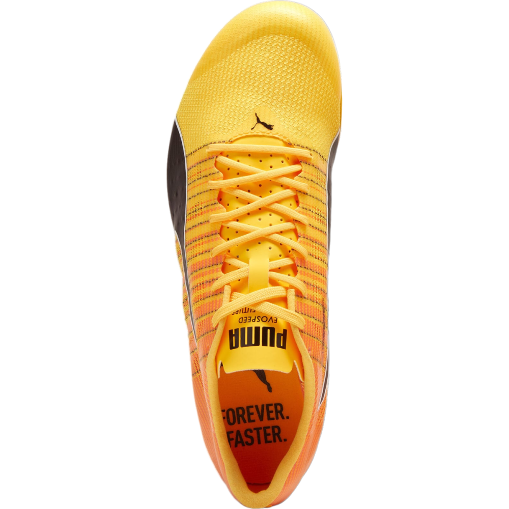 PUMA evoSPEED FUTURE 6 380023-001 / orange
