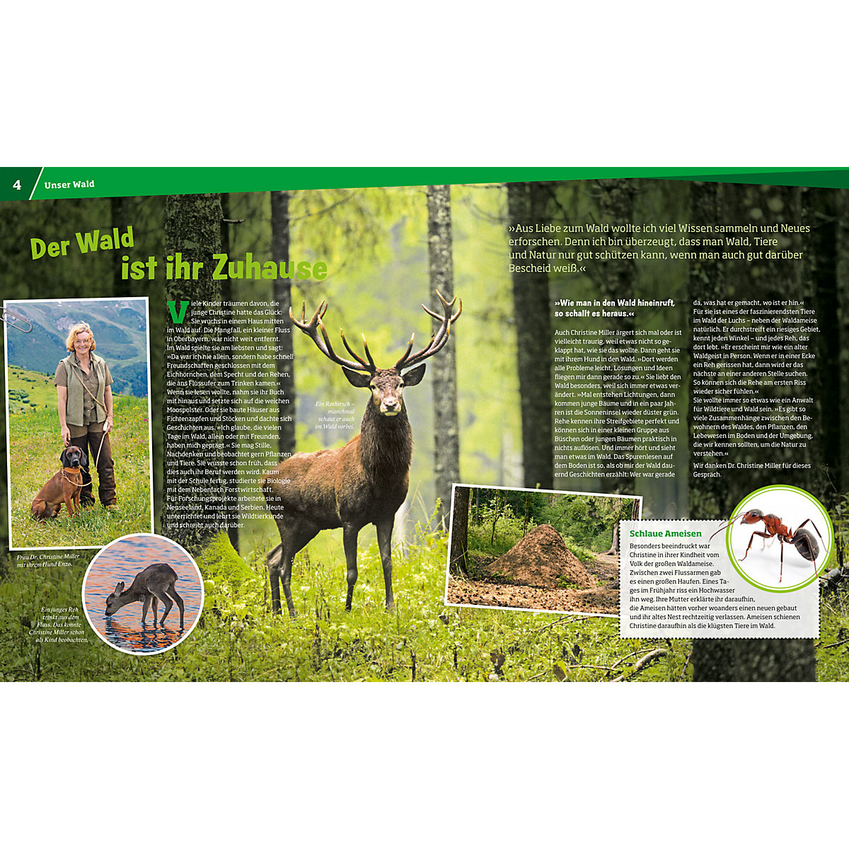 WAS IST WAS Wald - Mehr als nur Bäume