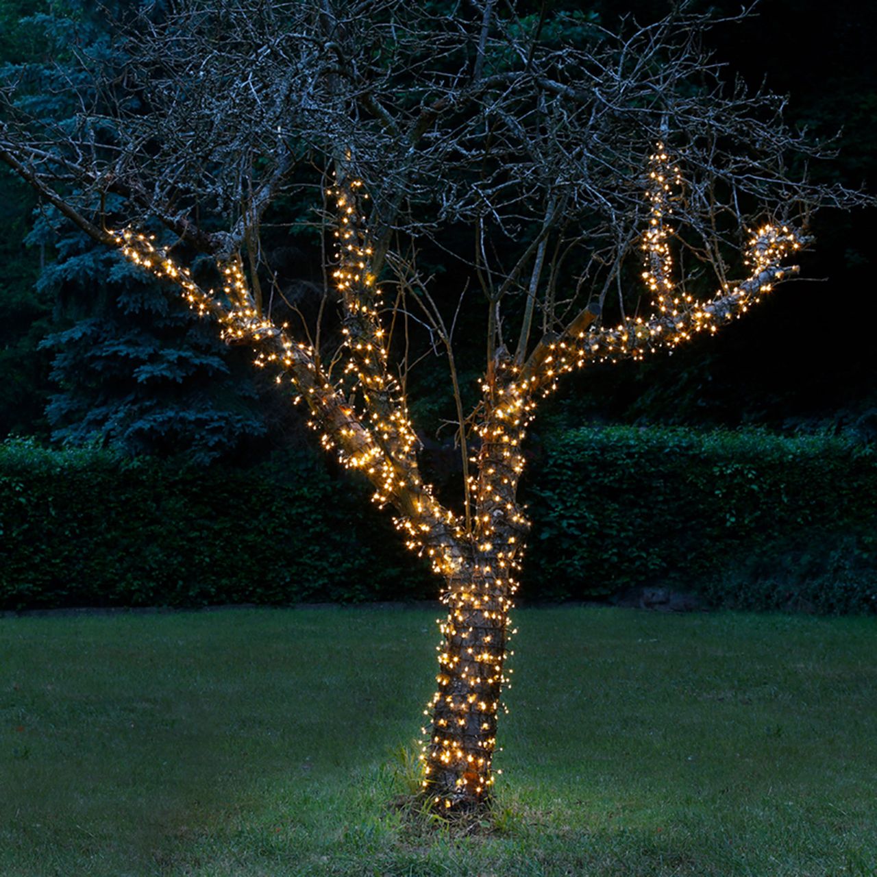 Weles AMARE Galaxie Lichterkette 400 LED warmweiß Länge 6,7 m (zzgl. 10 m Zuleitung) , CE   GS geprüft, für den Innen- und Außenbereich, 8 Leuchtmodi/Fernbedienung/Timer/Dimmfunktion