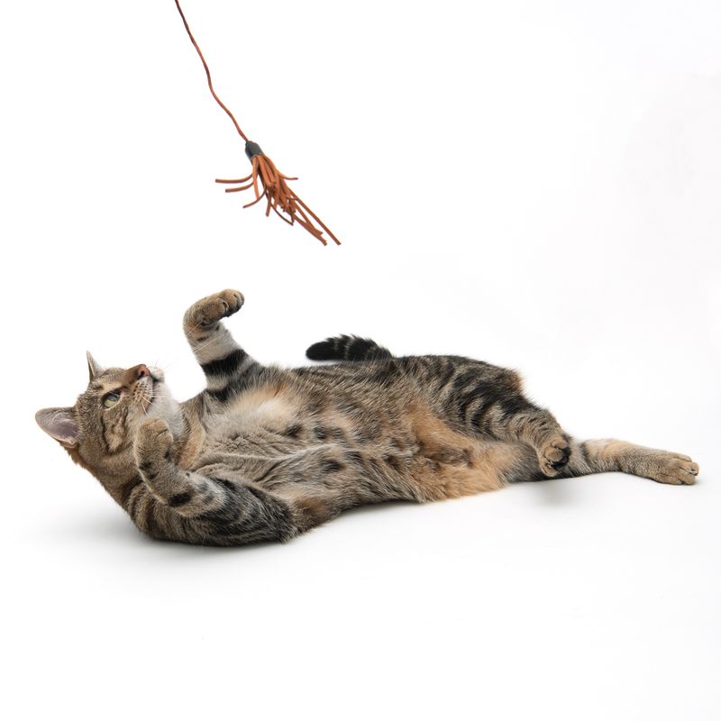 Katzenangel Hippie zu TOP-Preisen