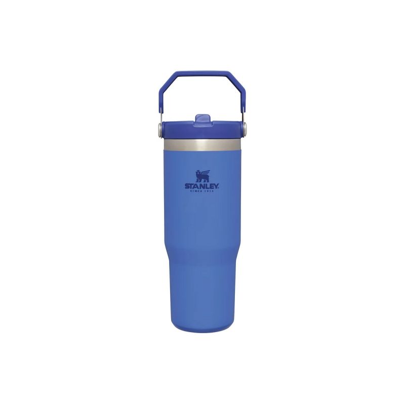 Stanley GO Iceflow Flip Straw Tumbler 30oz \/890ml Iris