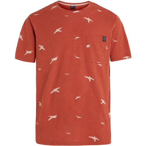 HERREN POLO PRTNILLO T-SHIRT