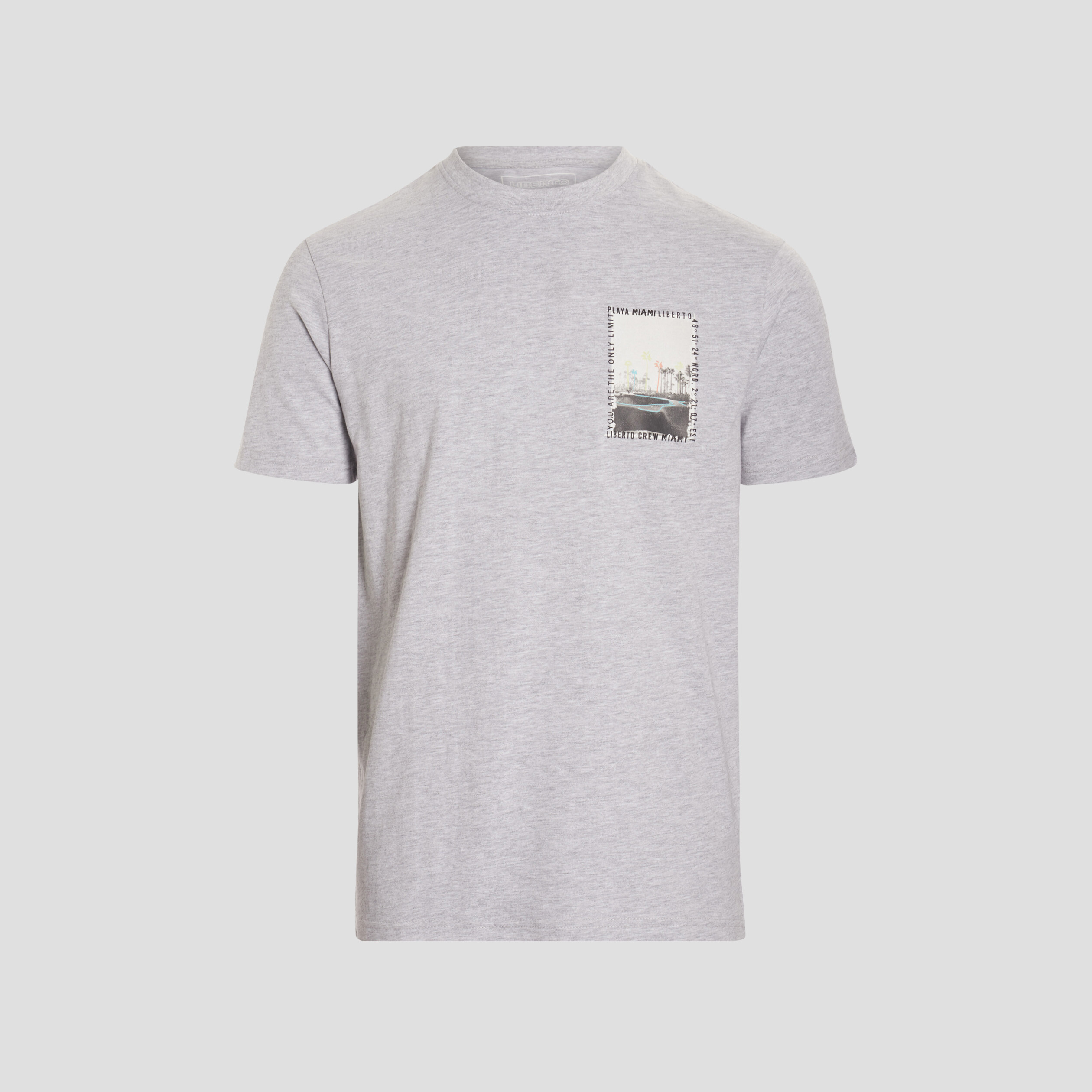 T-shirt Liberto gris clair homme | La Halle