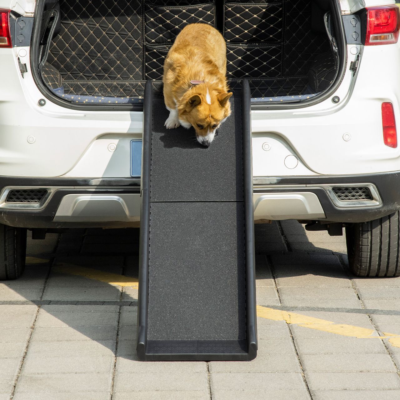 PawHut Hunderampe, Hundeautorampe, klappbare Haustierrampe, 155 x 39 x 14 cm