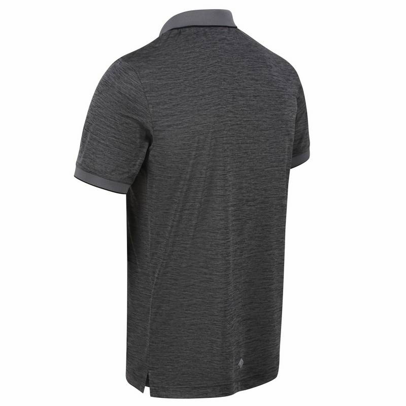 Regatta Remex II Poloshirt Herren