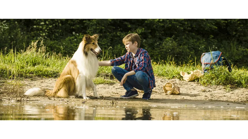 Lassie - Eine abenteuerliche Reise