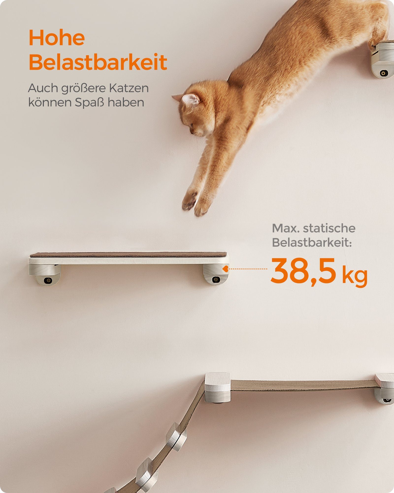 FEANDREA Katzen-Kletterwand, Kratzbaum Clickat Oasis Katzenmöbel 5er Set, waschbar