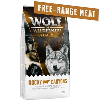 Wolf of Wilderness 