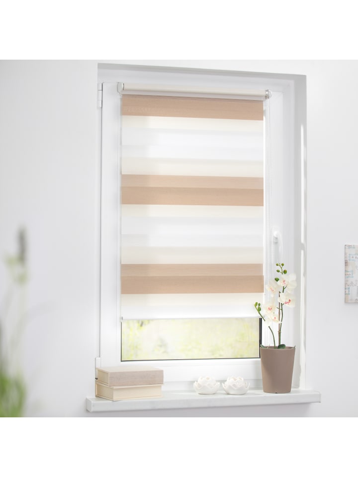 Lichtblick Doppelrollo in Creme - Weiß - Braun günstig kaufen