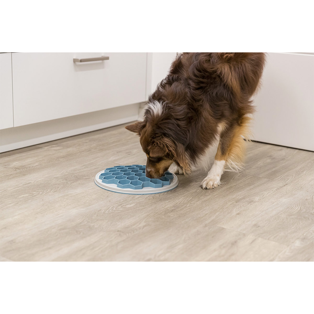 Trixie Slow Feeding Platte Hive 30cm günstig kaufen bei ZooRoyal