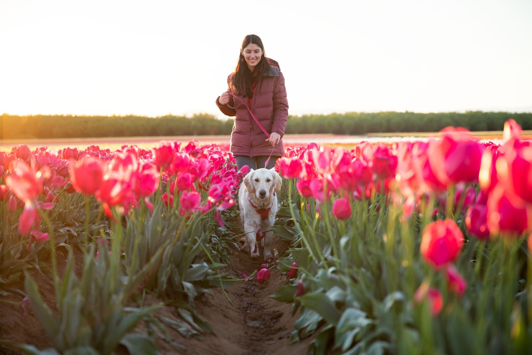 Ruffwear Hundeleinen Ruffwear Front Range™ Leine pink