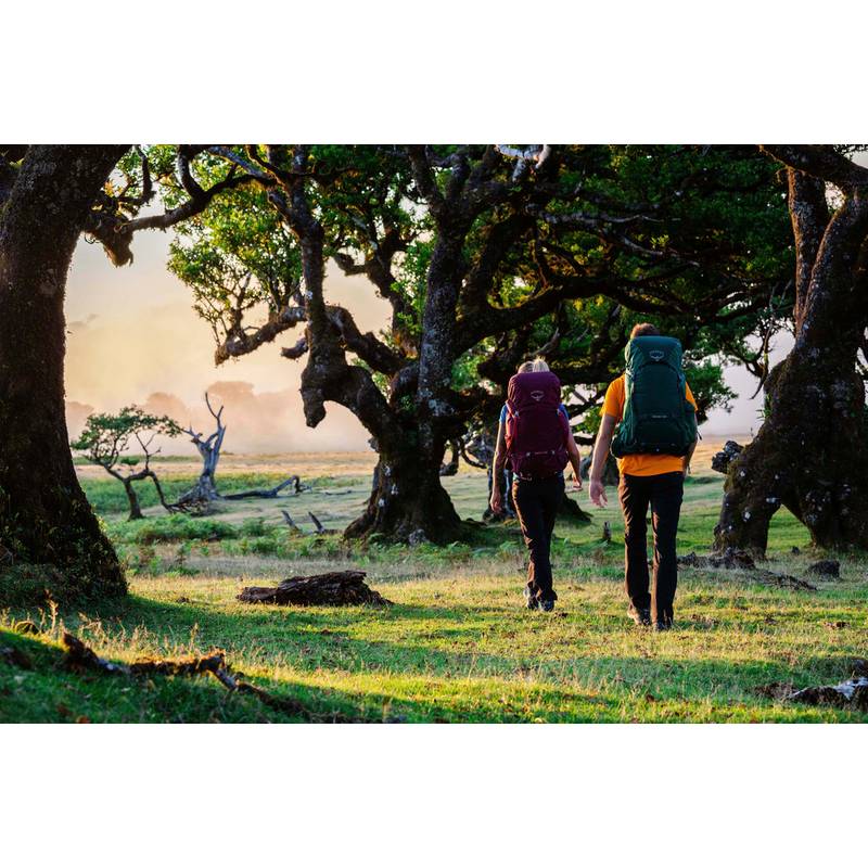 Osprey Rook 65 Trekkingrucksack Herren