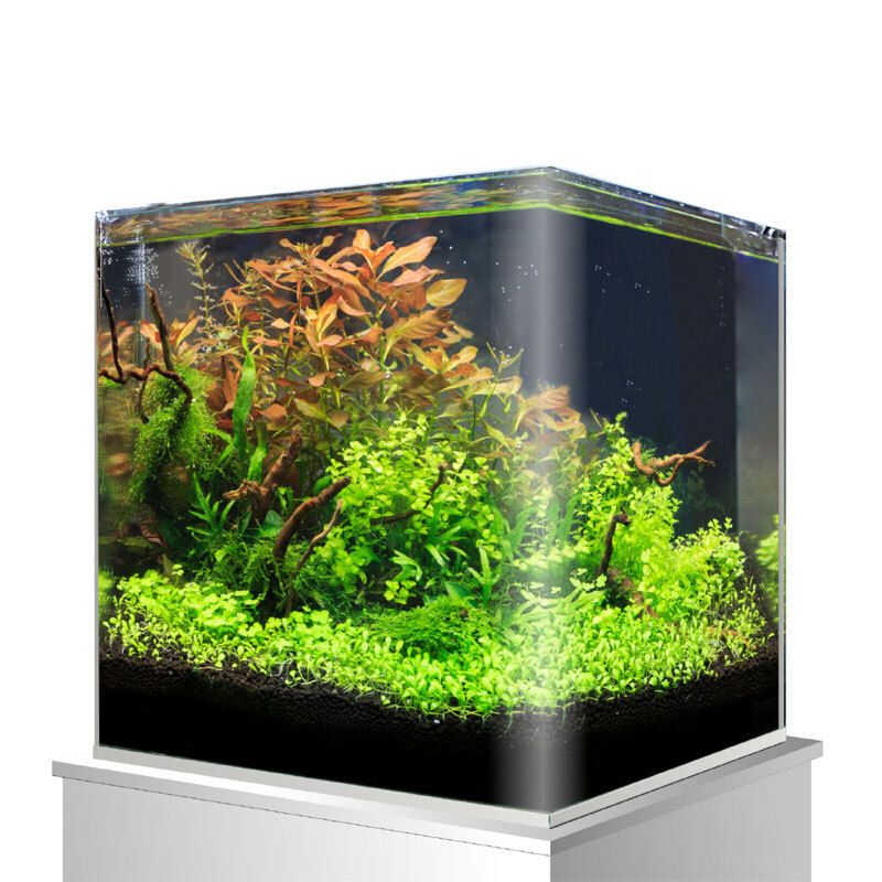 Amtra Nano-Aquarien Amtra Nanotank Glasbecken 30 l