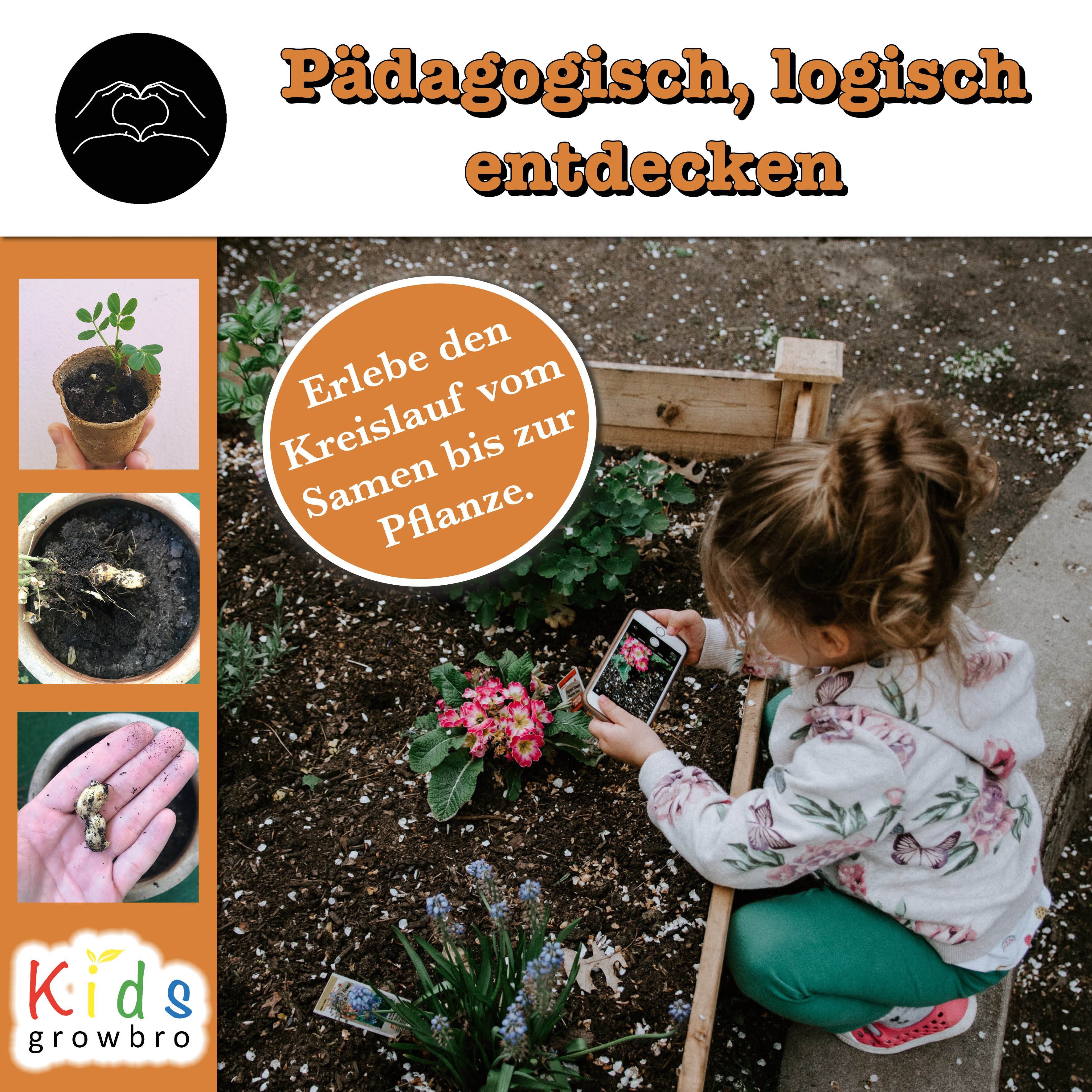 growbro Lernspielzeug Erdnuss Anzuchtset für kleine Forscher Lernt spielend die Natur kennen (Bekannt aus Social Media)