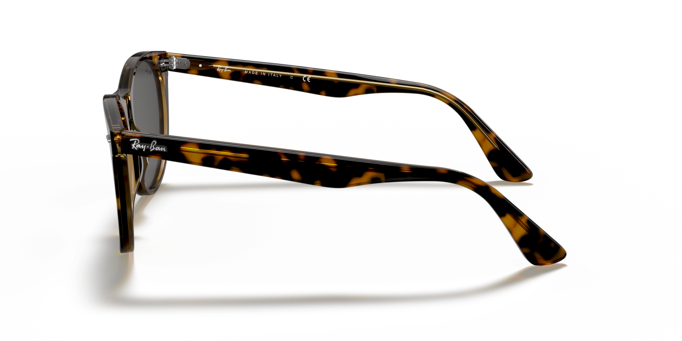 WAYFARER II CLASSIC - Havana lustruită pe gri închis maro transparent