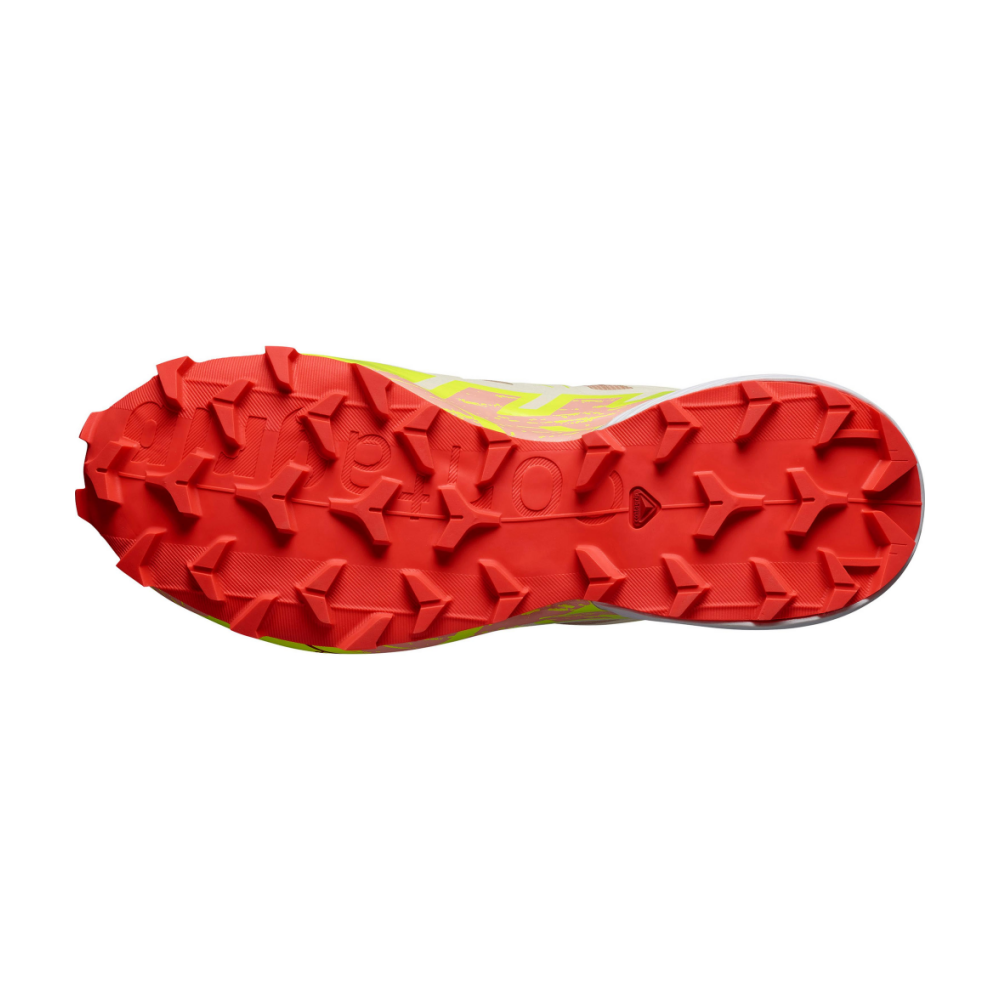 Salomon Speedcross 6 GTX L47302200 / braun