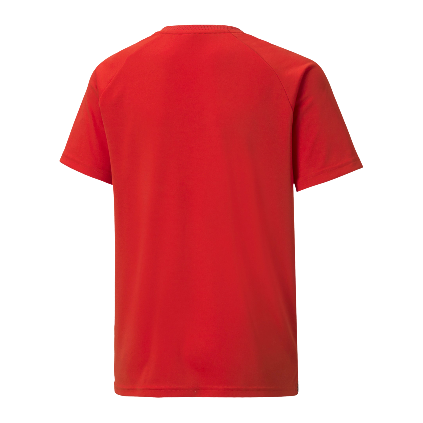 PUMA teamLIGA Striped Trikot Kids Rot Schwarz F01