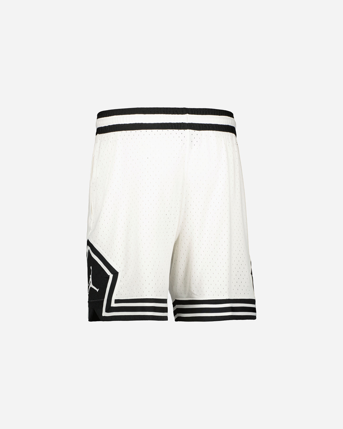 Pánske nohavice Nike Jordan Sport M DX1487-100